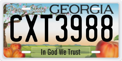 GA license plate CXT3988