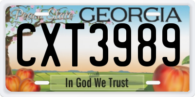 GA license plate CXT3989