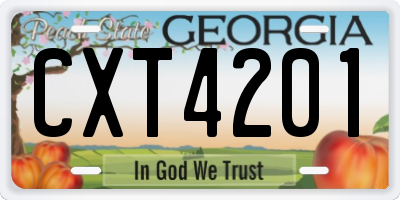 GA license plate CXT4201