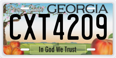 GA license plate CXT4209