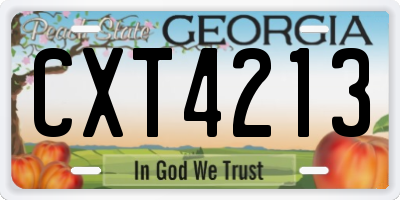 GA license plate CXT4213