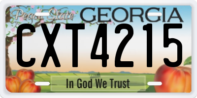 GA license plate CXT4215