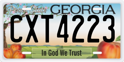 GA license plate CXT4223