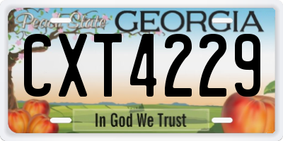 GA license plate CXT4229