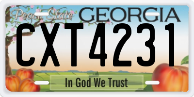 GA license plate CXT4231