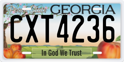 GA license plate CXT4236