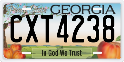 GA license plate CXT4238