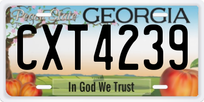 GA license plate CXT4239