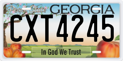 GA license plate CXT4245