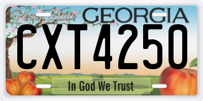 GA license plate CXT4250