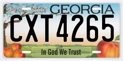 GA license plate CXT4265
