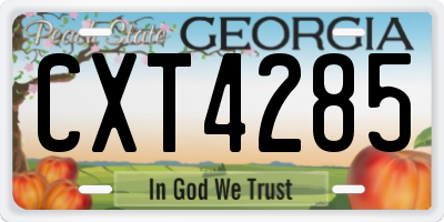GA license plate CXT4285