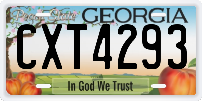 GA license plate CXT4293