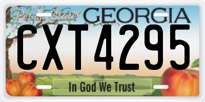 GA license plate CXT4295