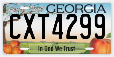 GA license plate CXT4299