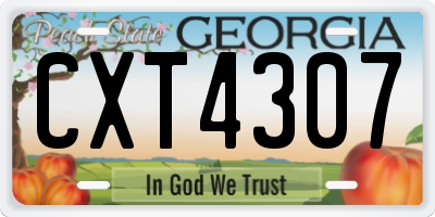 GA license plate CXT4307