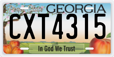 GA license plate CXT4315