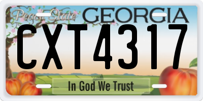 GA license plate CXT4317