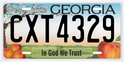 GA license plate CXT4329