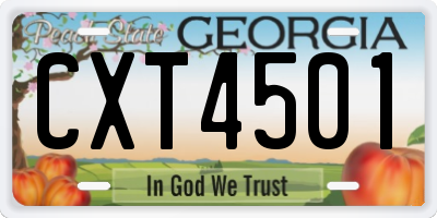 GA license plate CXT4501