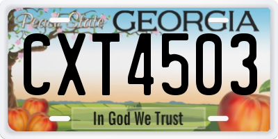 GA license plate CXT4503