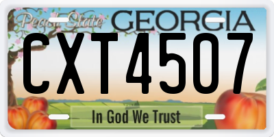 GA license plate CXT4507