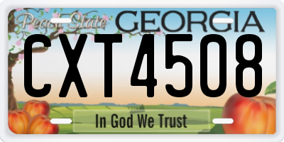 GA license plate CXT4508