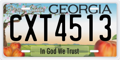 GA license plate CXT4513