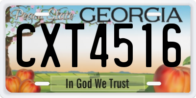 GA license plate CXT4516
