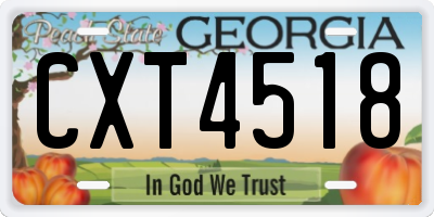 GA license plate CXT4518