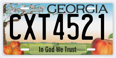 GA license plate CXT4521