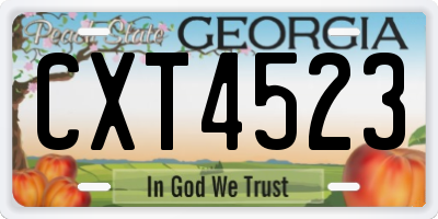 GA license plate CXT4523