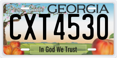 GA license plate CXT4530