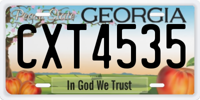 GA license plate CXT4535