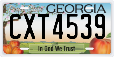 GA license plate CXT4539