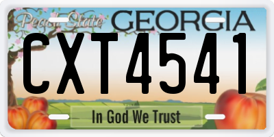 GA license plate CXT4541