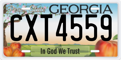 GA license plate CXT4559