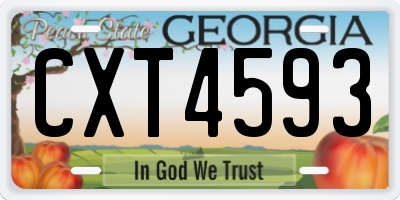 GA license plate CXT4593