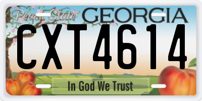 GA license plate CXT4614