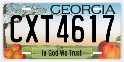 GA license plate CXT4617