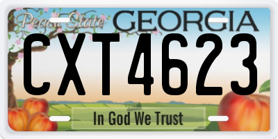 GA license plate CXT4623