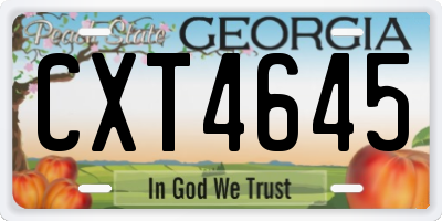 GA license plate CXT4645