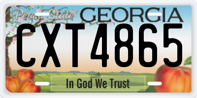 GA license plate CXT4865