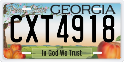 GA license plate CXT4918