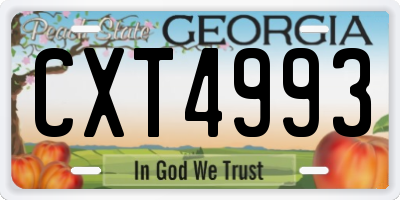 GA license plate CXT4993
