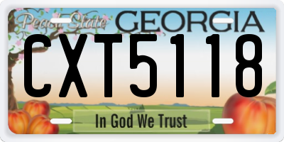 GA license plate CXT5118