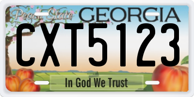 GA license plate CXT5123