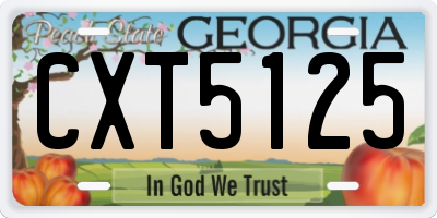 GA license plate CXT5125
