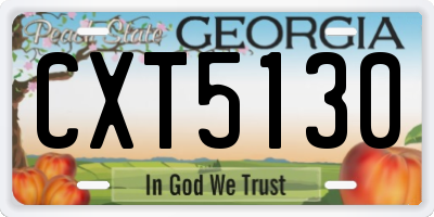 GA license plate CXT5130