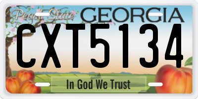 GA license plate CXT5134
